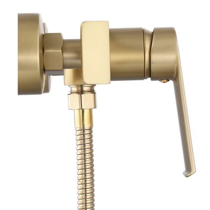 REA-B6403 - Duschset mit HASS‑Mischbatterie, gebürstetes Gold