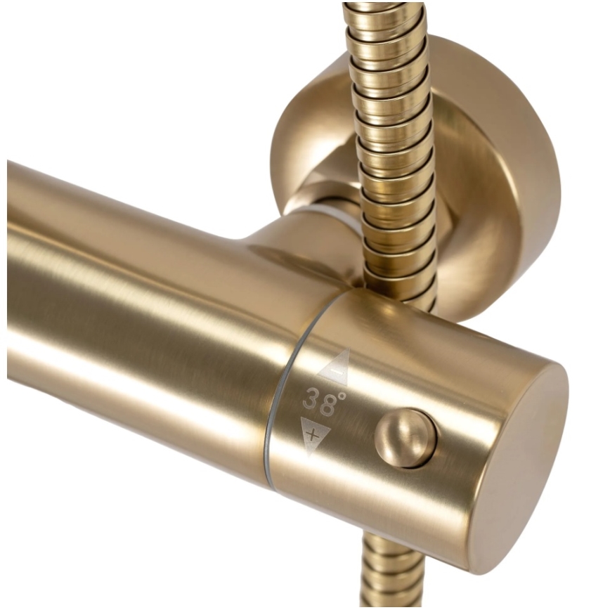 REA-P2323 - Duschset mit thermostatischer Armatur PAROT, gebürstetes Gold