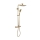 REA-P5004 - Duschset mit Thermostatarmatur TOM in gebürstetem Gold