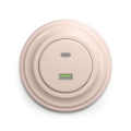 Reblig - Retro-USB-Steckdose A+C mit Rahmen, altrosa