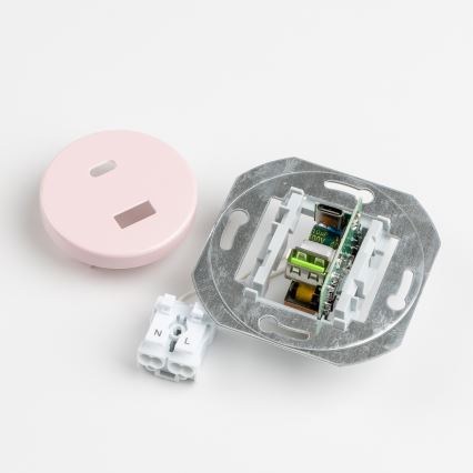 Reblig - Retro-USB-Steckdose A+C mit Rahmen, altrosa