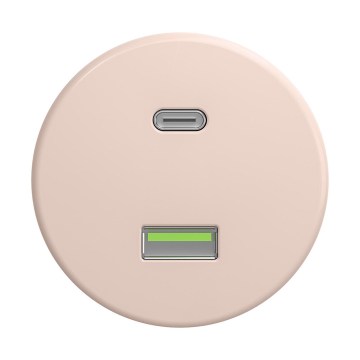 Reblig - Retro USB-Steckdose A+C, rahmenlos, altrosa