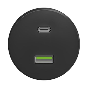 Reblig - Retro-USB-Steckdose A+C, rahmenlos, Anthrazit
