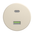 Reblig - Retro-USB-Steckdose A+C rahmenlos beige