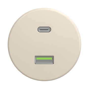 Reblig - Retro-USB-Steckdose A+C rahmenlos beige