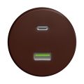 Reblig - Retro USB-Steckdose A+C, rahmenlos, braun