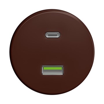 Reblig - Retro USB-Steckdose A+C, rahmenlos, braun