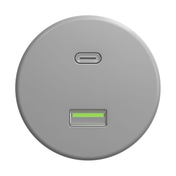 Reblig - Retro-USB-Steckdose A+C rahmenlos grau