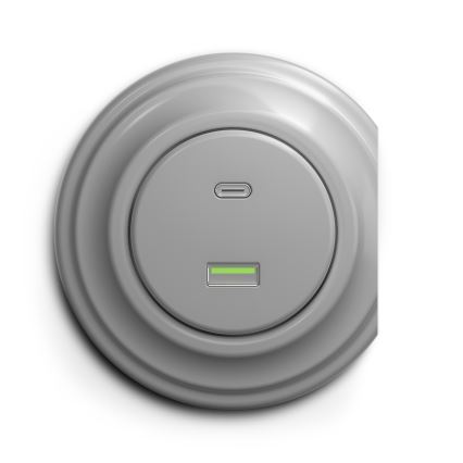Reblig - Retro-USB-Steckdose A+C rahmenlos grau