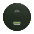 Reblig - Retro-USB-Steckdose A+C, rahmenlos, grün
