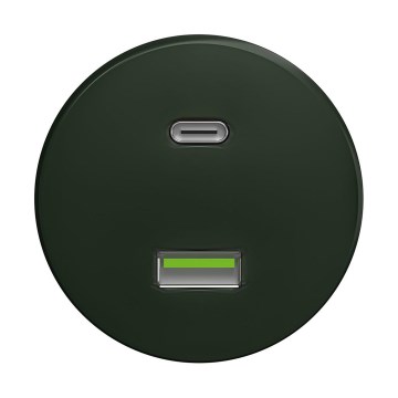 Reblig - Retro-USB-Steckdose A+C, rahmenlos, grün
