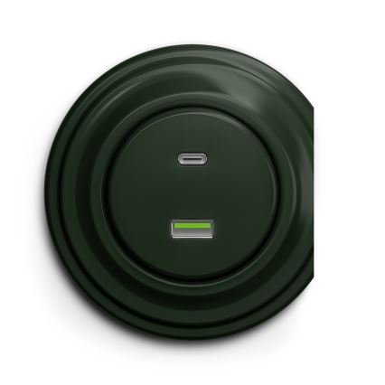 Reblig - Retro-USB-Steckdose A+C, rahmenlos, grün