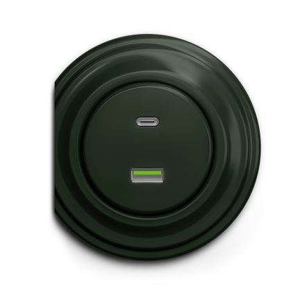 Reblig - Retro-USB-Steckdose A+C, rahmenlos, grün