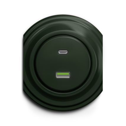 Reblig - Retro-USB-Steckdose A+C, rahmenlos, grün