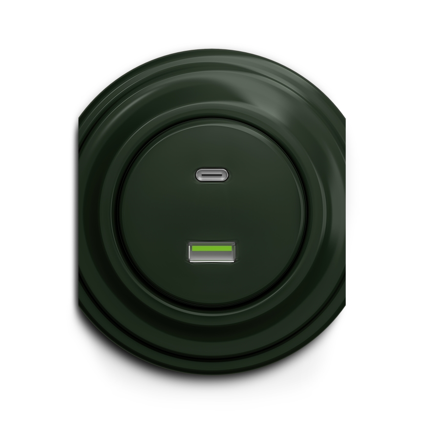 Reblig - Retro-USB-Steckdose A+C, rahmenlos, grün