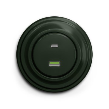 Reblig - Retro-USB-Steckdose (USB-A + USB-C) mit Rahmen, grün