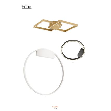 Redo 01-2817 - Dimmbare LED-Wandleuchte FEBE LED/24W/230V golden