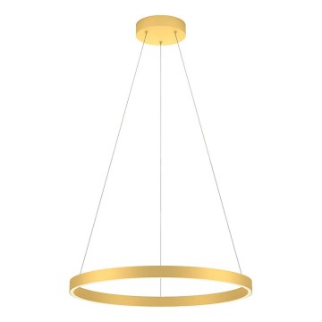 Redo 01-2865 - Dimmbare LED-Hängeleuchte an Schnur FEBE LED/37W/230V golden
