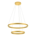 Redo 01-2889 - LED-dimmbare Pendelleuchte an Kabel FEBE LED/62W/230V goldfarben