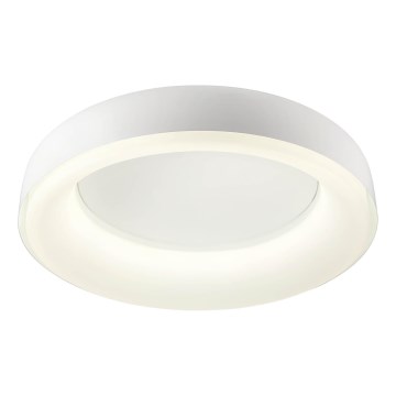 Redo 01-3941 - LED-Deckenleuchte DIP LED/40W/230V 2700/3000/4000/5000/6500K CRI 90 Ø 62,4 cm weiß