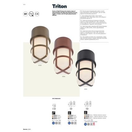Redo 90197 - Außenwandleuchte TRITON 1xE27/28W/230V IP54 Kupfer