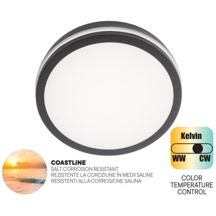 Redo 90286 - LED-Deckenleuchte für den Außenbereich ISOLA LED/24W/230V d 26 cm 3000/4000/6500K IP54 anthrazit