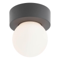 Redo 90641 - Outdoor-Deckenleuchte BULK 1xE27/28W/230V IP44 anthrazit