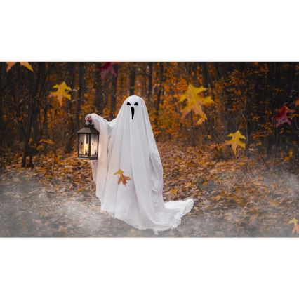 LED-Dekoration HALLOWEEN LED/3xAAA/warmweiβ Laterne