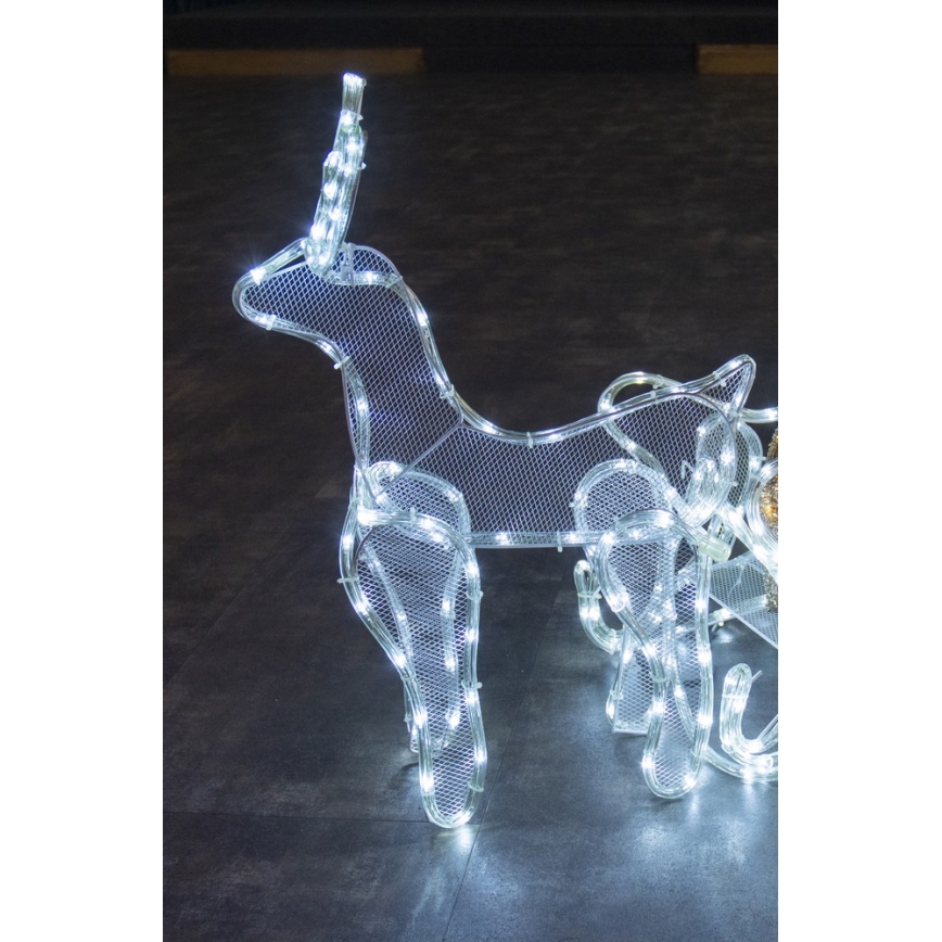 LED LED Weihnachtsdekoration für Außen LED/12W/230V IP44 Reinter