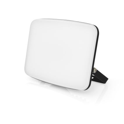 LED rahmenloser Fluter LED/20W/230V 4000K IP65