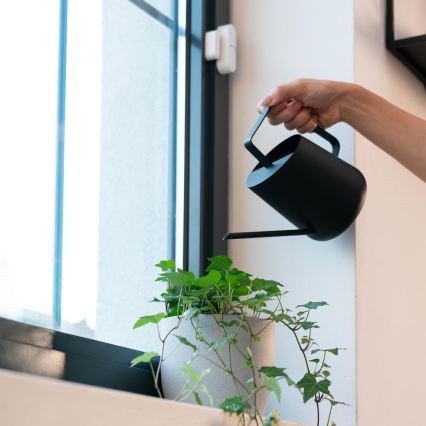 Intelligenter Fenster- und Türsensor 2xAAA