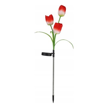 RGB-LED Solar-Dekorationsleuchte 3xLED/3,7V 200 mAh IP44 Tulpe