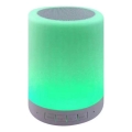 RGB-LED-Tischlampe mit integriertem Lautsprecher LED/5V