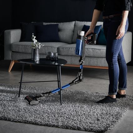 Rowenta - Akku-Stielstaubsauger X-FORCE FLEX 250W/18V