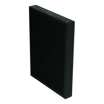 Rowenta - Filter 2-in-1 für Luftreiniger mit Aktivkohle PURE AIR schwarz