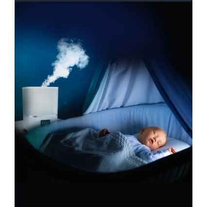 Rowenta - Luftbefeuchter AQUA BOOST 2,5 l 115W/230V