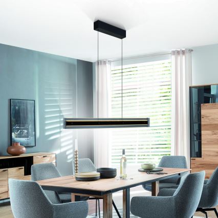 Schöner Wohnen 11316-18 - LED-dimmbare Pendelleuchte mit Seilabhängung LENA, 32 W, 230 V, 105 cm, schwarz