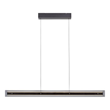 Schöner Wohnen 11316-18 - LED-dimmbare Pendelleuchte mit Seilabhängung LENA, 32 W, 230 V, 105 cm, schwarz