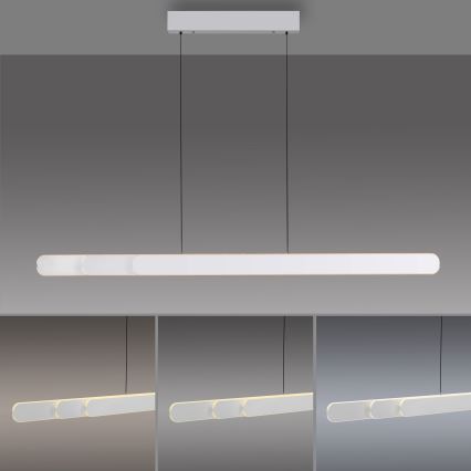 Schöner Wohnen 12577-16 - LED dimmbare Pendelleuchte mit Seilaufhängung ADRIANA ROUND 2xLED/24W/230V 2700/3000/3500/4000/5000K 160 cm weiß