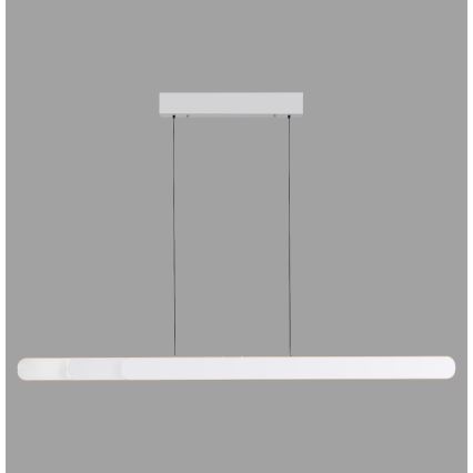 Schöner Wohnen 12577-16 - LED dimmbare Pendelleuchte mit Seilaufhängung ADRIANA ROUND 2xLED/24W/230V 2700/3000/3500/4000/5000K 160 cm weiß