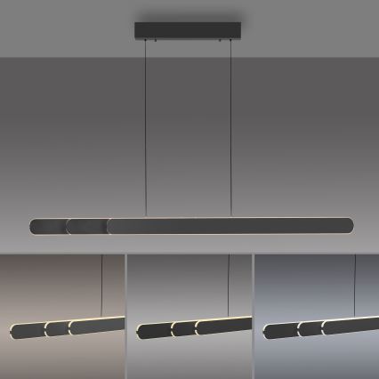 Schöner Wohnen 12577-18 - LED dimmbare Pendelleuchte an Drahtseil ADRIANA ROUND 2xLED/24W/230V 2700/3000/3500/4000/5000K 160 cm schwarz