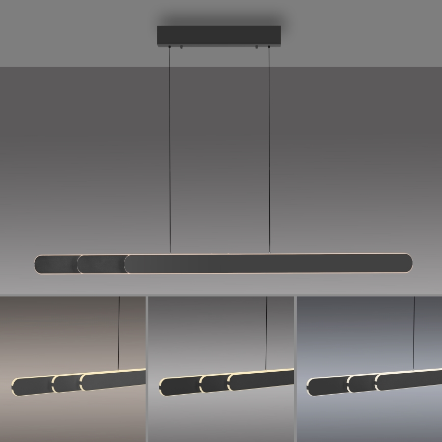 Schöner Wohnen 12577-18 - LED dimmbare Pendelleuchte an Drahtseil ADRIANA ROUND 2xLED/24W/230V 2700/3000/3500/4000/5000K 160 cm schwarz