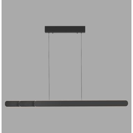 Schöner Wohnen 12577-18 - LED dimmbare Pendelleuchte an Drahtseil ADRIANA ROUND 2xLED/24W/230V 2700/3000/3500/4000/5000K 160 cm schwarz