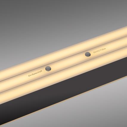 Schöner Wohnen 12577-18 - LED dimmbare Pendelleuchte an Drahtseil ADRIANA ROUND 2xLED/24W/230V 2700/3000/3500/4000/5000K 160 cm schwarz