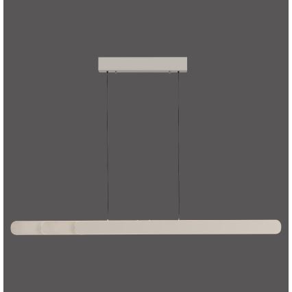 Schöner Wohnen 12577-39 - dimmbare LED-Pendelleuchte an Stahlseil ADRIANA ROUND 2xLED/24W/230V 2700/3000/3500/4000/5000K 160 cm grau