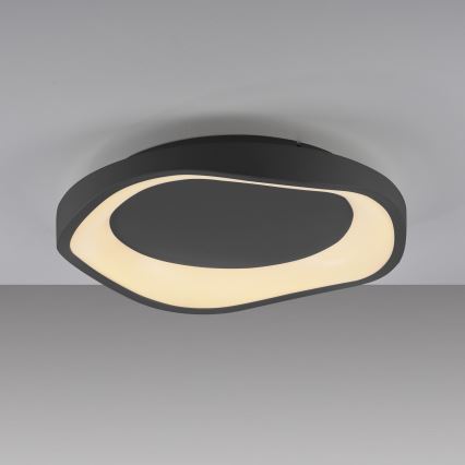 Schöner Wohnen 14233-18 - dimmbare LED-Deckenleuchte MONTA LED/21W/230V Ø 40 cm schwarz