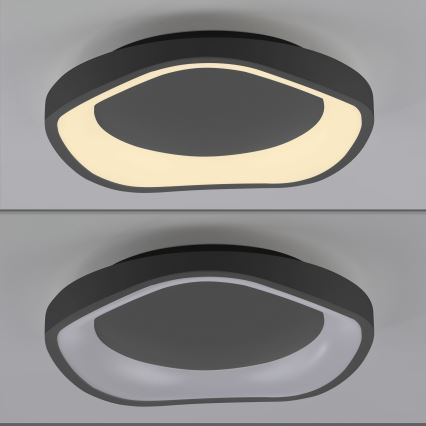 Schöner Wohnen 14233-18 - dimmbare LED-Deckenleuchte MONTA LED/21W/230V Ø 40 cm schwarz