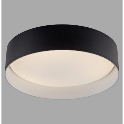 Schöner Wohnen 14593-18 - dimmbare Deckenleuchte TAVOLI LED/10W/230V 2700-6500K Ø 28,5 cm schwarz + Fernbedienung