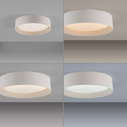 Schöner Wohnen 14593-39 - dimmbare LED-Deckenleuchte TAVOLI LED/10W/230V 2700–6500K Ø 28,5 cm grau + Fernbedienung