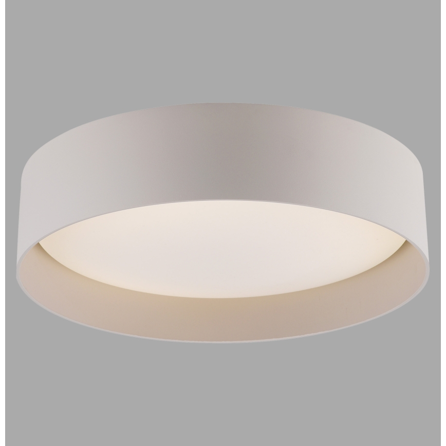 Schöner Wohnen 14593-39 - dimmbare LED-Deckenleuchte TAVOLI LED/10W/230V 2700–6500K Ø 28,5 cm grau + Fernbedienung